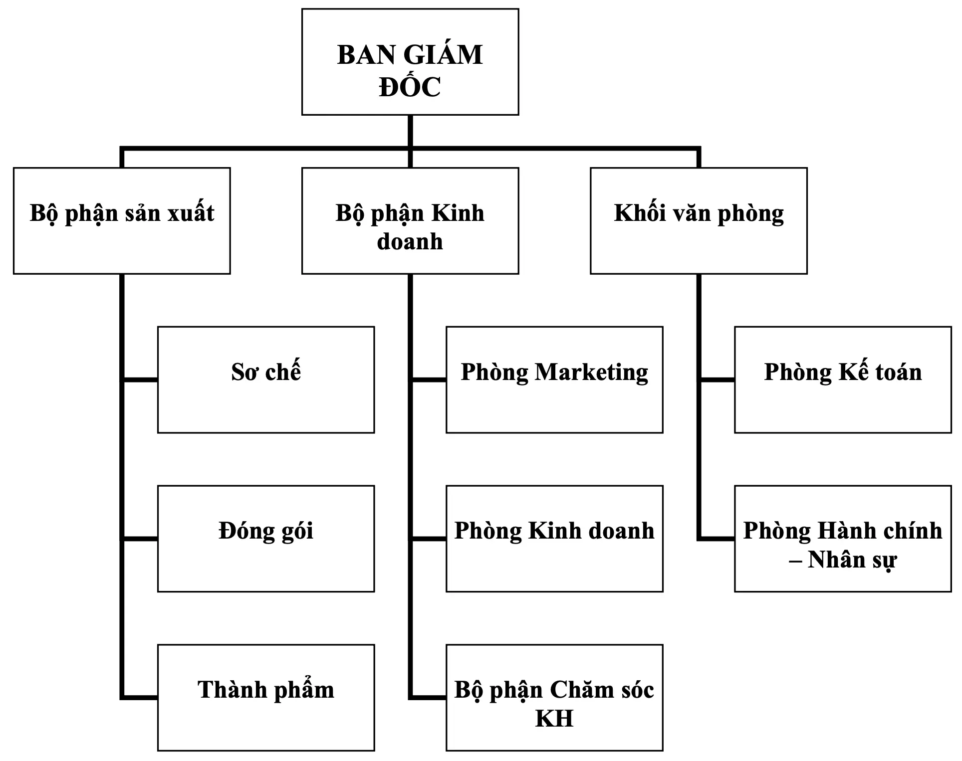 Cơ cấu tổ chức